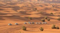 Desert Safari with BBQ and Camel Ride from Dubai