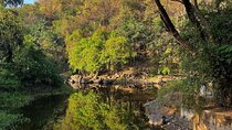Sanjay Gandhi National Park and Kanheri Caves Day Private Tour