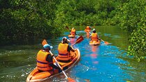 Bali Mangrove Canoeing Tour