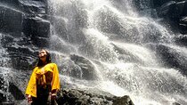 Full Day Private Tour All Inclusive Hidden Gems Bali Waterfall 