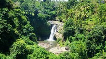 Full Day Private Tour to Ubud Waterfall and Tanah Lot Sunset