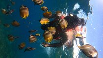 Bali Nusa Penida Land Tour and Private Snorkeling - All Inclusive