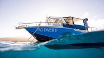 2-Tank Dive Featuring the Molokini Crater