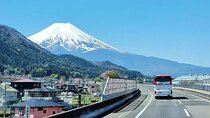 Private Mt Fuji and Hakone Day Tour from Tokyo