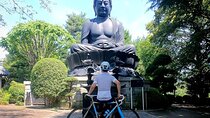English/Italian guided cycling tour in Tokyo(with a rental bike)