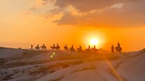 Cappadocia 2 hours Horse Riding Experience - flexible time