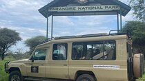 4 Days Zanzibar-Tarangire, Ngorongoro & Serengeti Luxury Tour