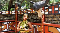 Lion Safari & Lesedi Cultural Village Tour from Johannesburg