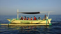 Sunrise Dolphin Lovina Beach and North Bali Sightseeing Tour