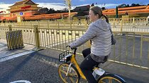 Beijing Highlights-Private Beijing Bike Tour