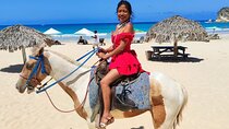 Punta Cana Horse Riding for Beaches in Field