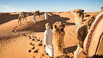 Dubai Exclusive Private Evening Desert Safari With BBQ Dinner