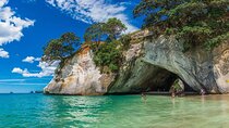 Cathedral Cove and Hot Water Beach Private Tour 