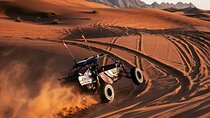 Qatar Desert Thrills Self Ride Dune Buggy Safari and Camel Ride