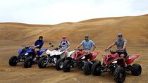  Agadir:Quad Biking Explore argan Forest & sand Dunes 