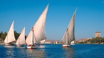Aswan Botanical Garden Tour and Felucca Sailing Experience