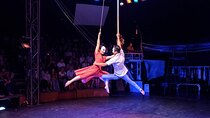 Phare, The Cambodian Circus with Round-Trip Tuk Tuk Transfer