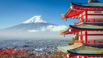 Mt. Fuji one day Private tour from tokyo with English guider