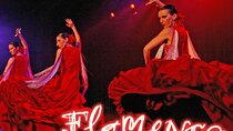 Flamenco Show at the Coliseo theater in San Miguel
