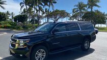 Private Departure Transfer: Oahu Hotels or Honolulu Cruise Terminal to Honolulu International Airport