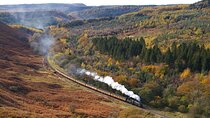 North York Moors with Steam Train to Whitby 