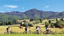 Tuscan countryside bike tour and food tasting