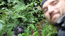 3 Days Private Bwindi Gorillas and Volcanoes Golden Monkey Trek