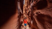 Private Guided Buckskin Gulch Tour Via Wire Pass