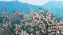 Private Mutianyu Great Wall Day Tour From Beijing City/Airport