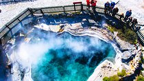 Ex Auckland: Rotorua Māori Village with Haka and Hot Springs 