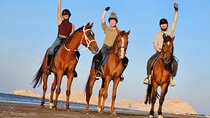 Horseback Riding Muscat Beach