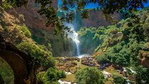 Private Full Day Tour Ouzoud Waterfalls from Marrakech