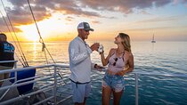 Key West Sunset Sail: Dolphin Watching, Wine, and Tapas