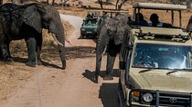 3Day Amboseli National Park Budget Safari on 4x4 Landcruiser Jeep