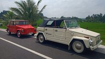 Bali Classic Volkswagen Safari and Kintamani Volcano Private Tour