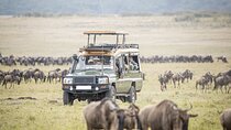 5 Days Masai Mara with Lake Nakuru and Naivasha Tour by 4x4 Jeep