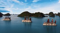 Milalux 5-Star Cruise: 2-Day Discover Halong Bay from Hanoi