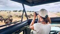Lake Nakuru & Masai Mara 4 Days Private Jeep Safari