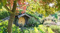 Private 2 Days Tour from Auckland - Waitomo, Hobbiton and Rotorua