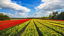 Keukenhof Tulip Garden Tour