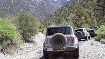 Las Vegas Guided Off-Road Adventure to Callville Wash