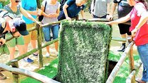 Cu Chi Tunnel Half Day Tour