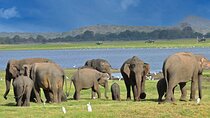 9 Days Private Vehicle & Driver Explore SriLanka By Your Own Plan