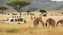 Nairobi National Park, Blixen, Beads and Bomas Cultural Dance 