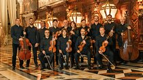 Vivaldi's Four Seasons Concert and Music Museum Visit