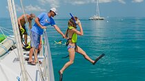 Key West Morning Snorkel Sail with Mimosas and Gourmet Breakfast