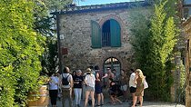 San Gimignano and Chianti Wine Tasting Tour from Florence