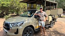 4 Day Kruger Park All Inclusive Safari from Johannesburg