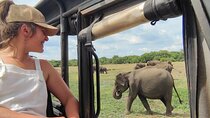 Minneriya National Park Elephant Jeep Safari Private Tour