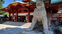 3 Hour Private Tour by Visiting Kanda Myojin Shrine in Chiyoda